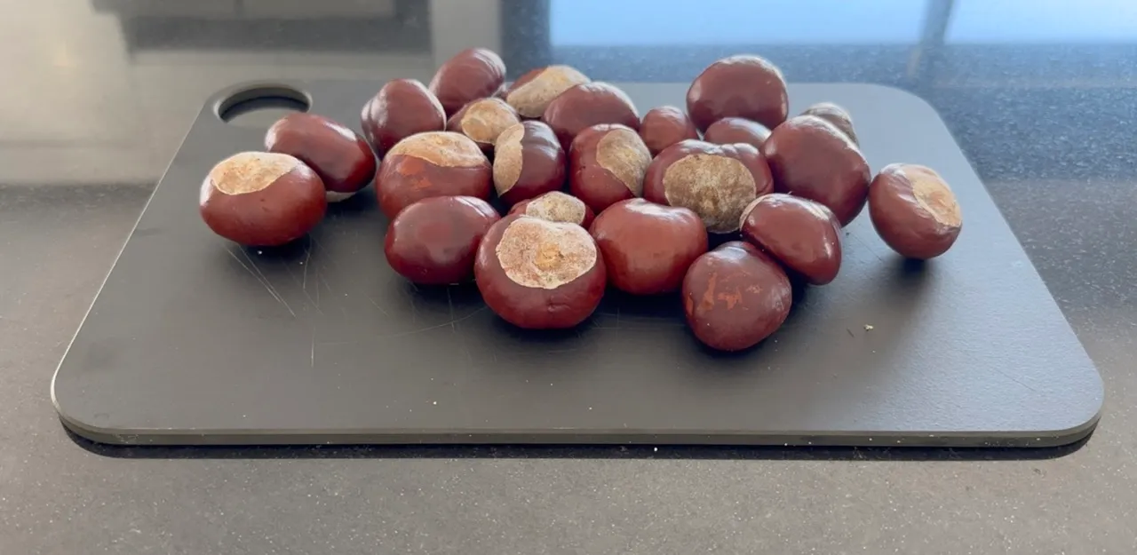 Horse Chestnuts Cleanser — step 10