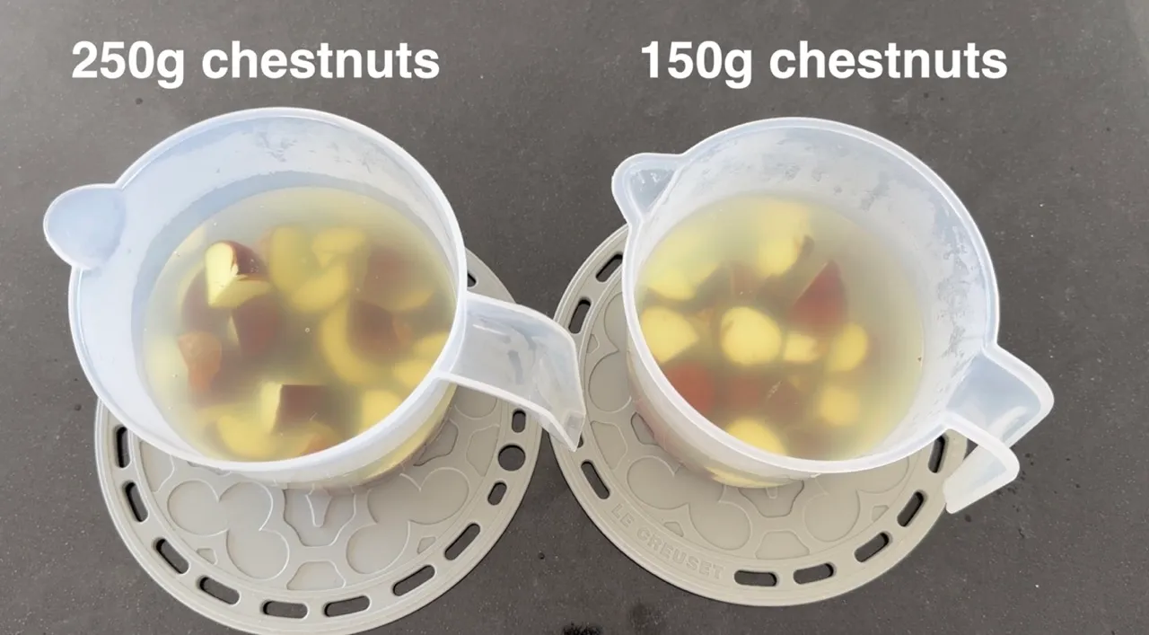 Horse Chestnuts Cleanser — step 19
