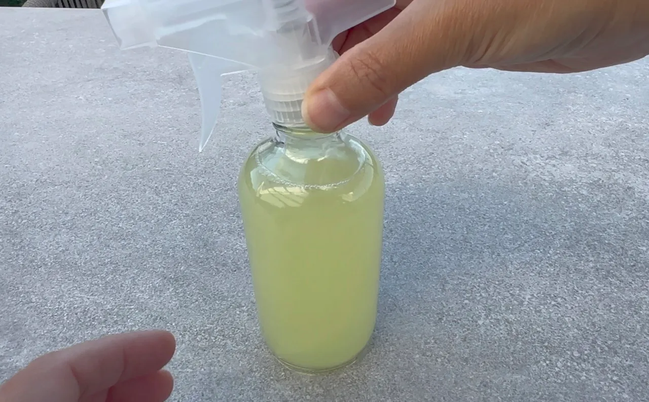 Horse Chestnuts Cleanser — step 28