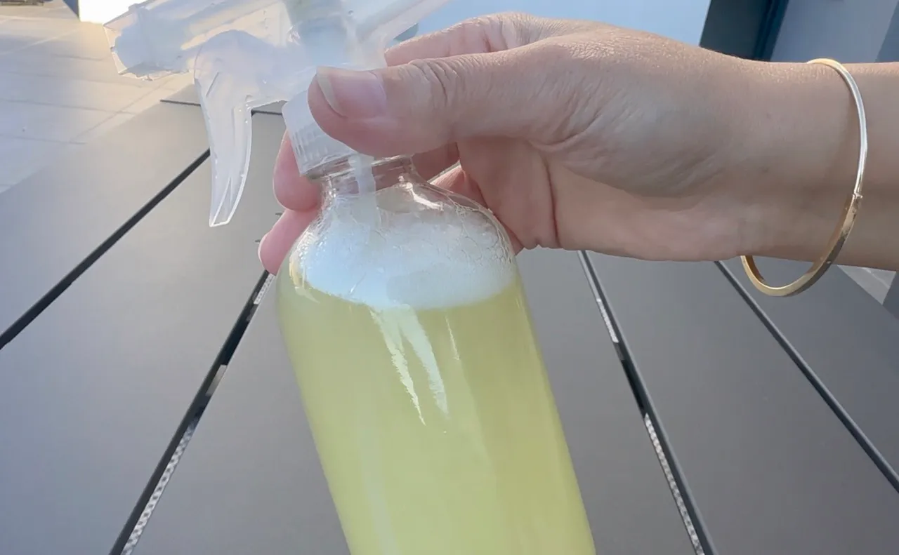 Horse Chestnuts Cleanser — step 9