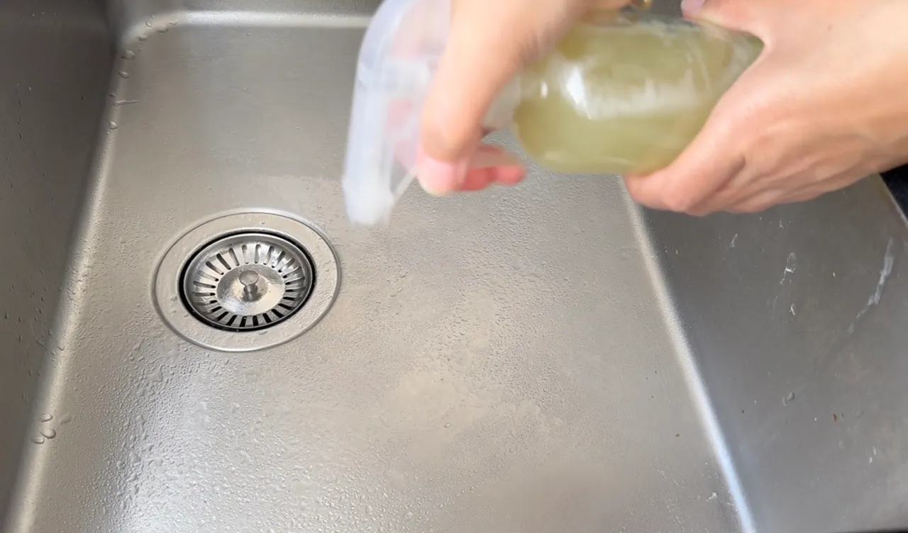 Horse Chestnuts Cleanser — step 32