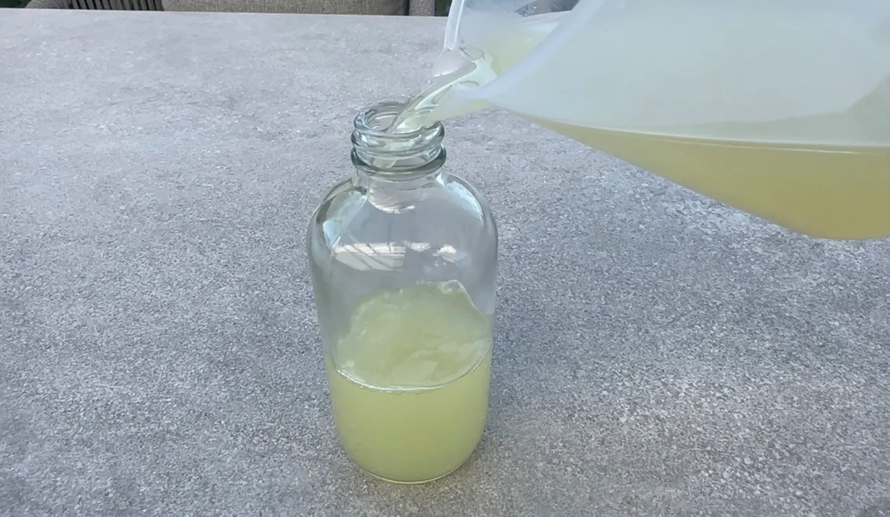 Horse Chestnuts Cleanser — step 27