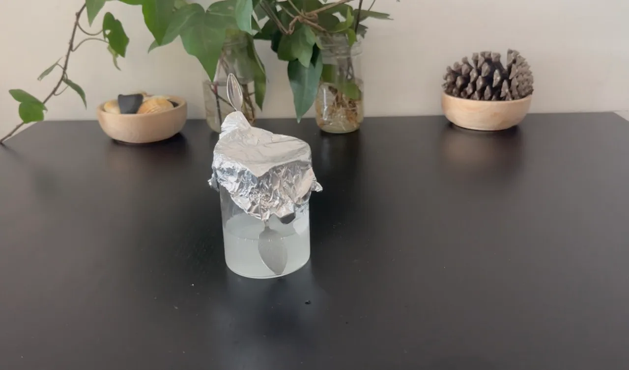 Niacinamide Face Serum — step 30