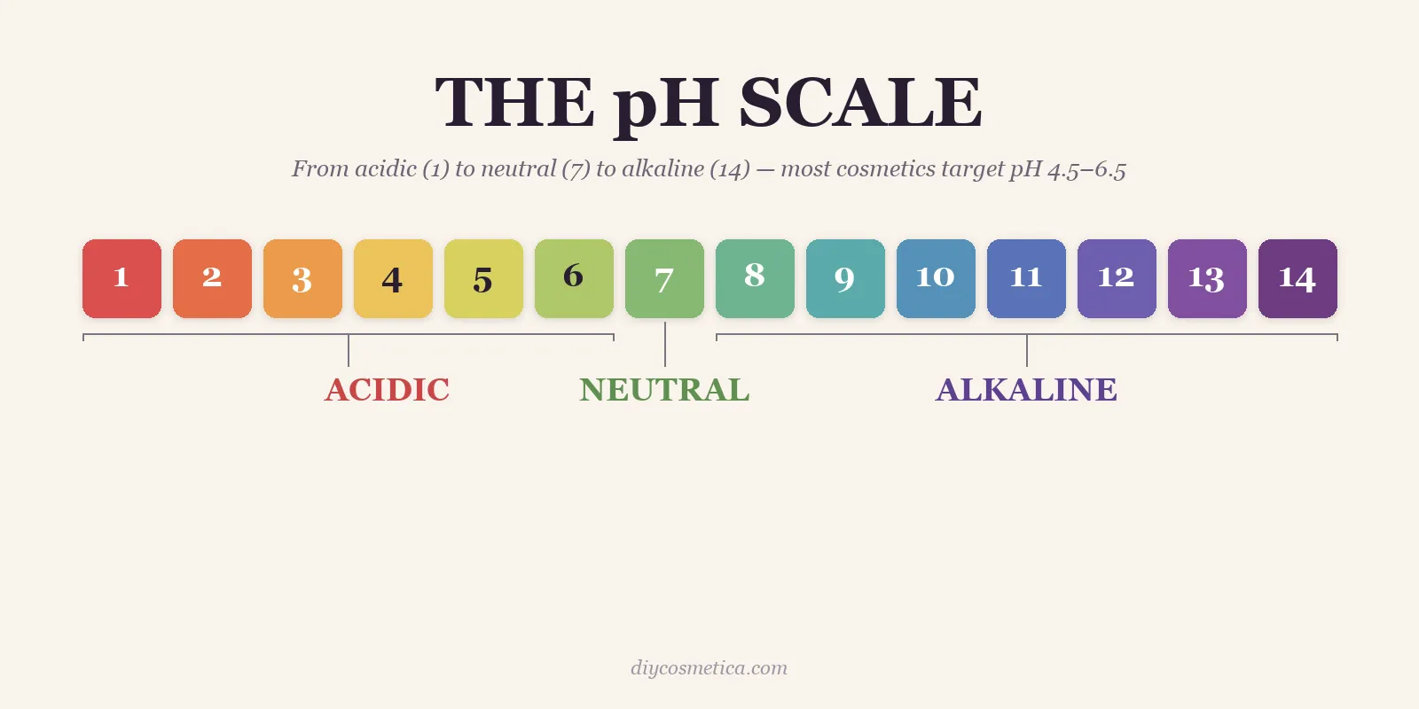 The pH scale — from acidic to neutral to alkaline