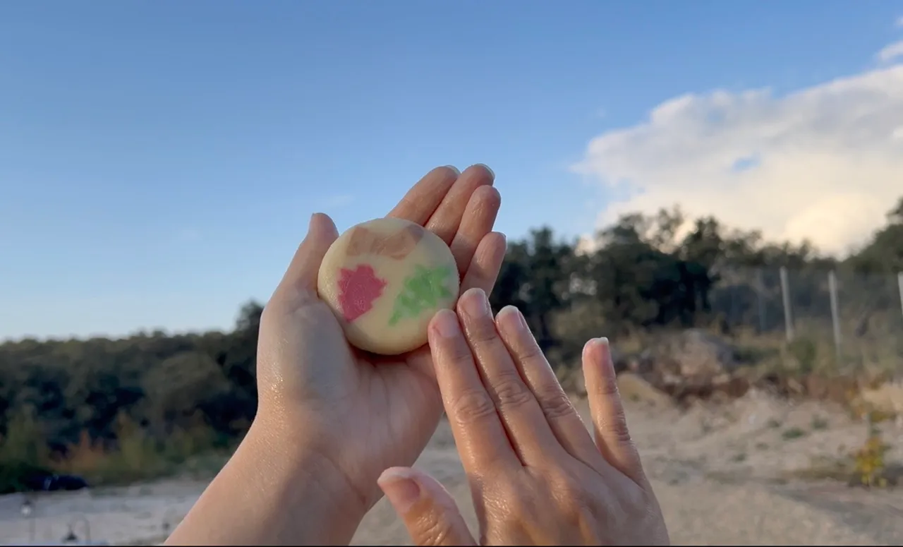 Lotion Bars (Christmas Edition) — step 30