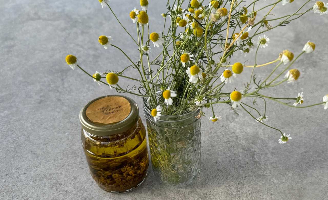 Chamomile In Cosmetics Guide And Formulas For Skin Care Products